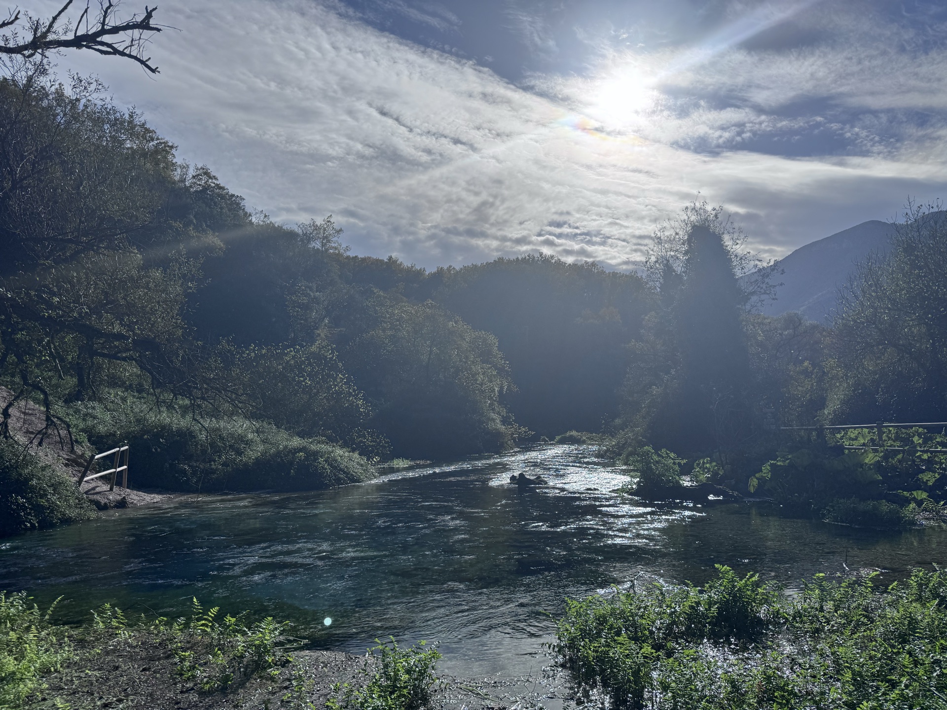 The forest pools below the spring